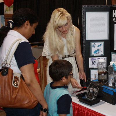 ddos在线攻击平台